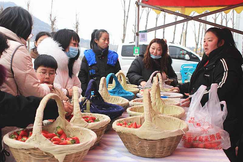 ��ݮ�h��c�´� | ���f�(zh��n)��ɽ�ڲ�ݮ��ժ��Ȥ���������w�e����ζ