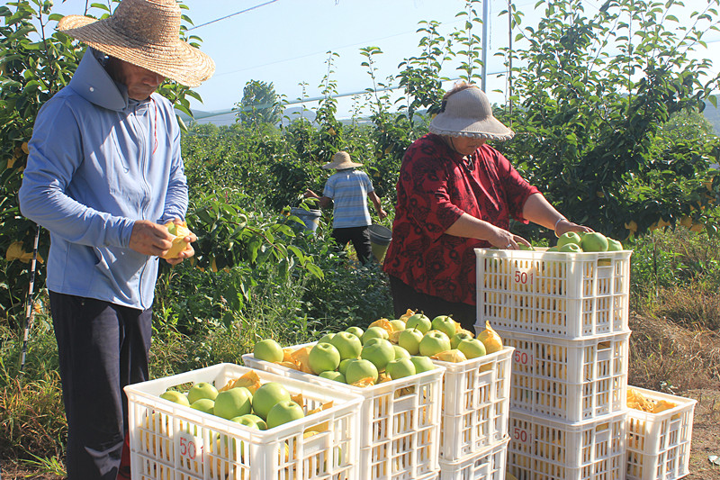 ��ó������Ѕ^(q��)ǰ�����@�����@������������